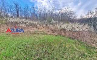 AZURA Imobiliare - Teren Babana Central Primarie - Poză 8