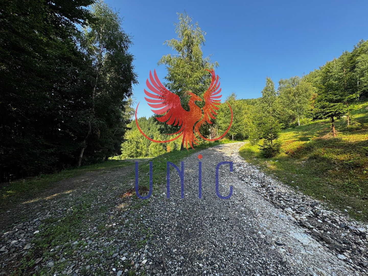 18000 mp de natura pura ,Lupeni, langa Straja - Poză 26