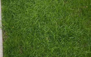 AP. 2 CAMERE GHENCEA, CENTRALA TERMICA, GRADINA,MODERN,BLOC NOU,PARTER - Poză 7