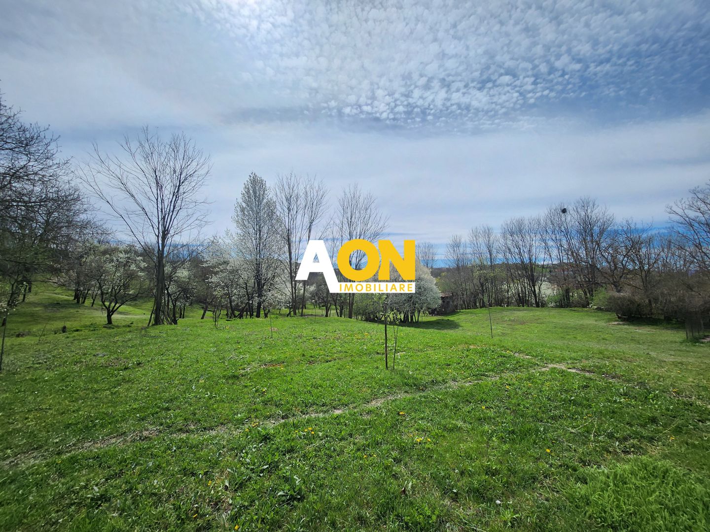 De vanzare casa 6 camere 8142 mp teren in Oarda de Sus - Poză 33