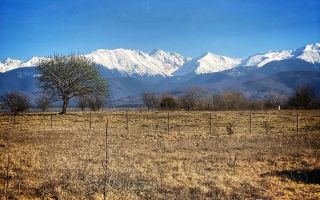 Teren Intravilan | 1000 MP | Valea Avrigului - Poză 5