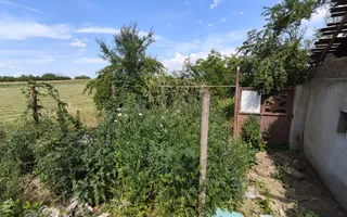 Teren de 11.000 mp cu casă și teren agricol | La 40 km de București | - Poză 12