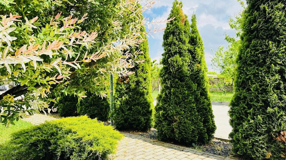 Oferta Inchiriata- Casă cu drum privat | 3 dormitoare | 110 mp | Timișoara - Poză 1