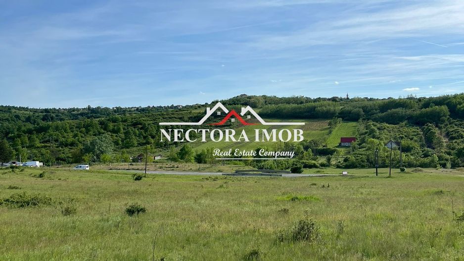 NECTORA IMOB-Teren Intravilan Baile Felix-Usa Oil, 8603 mp, Iesire DN - Poză 3
