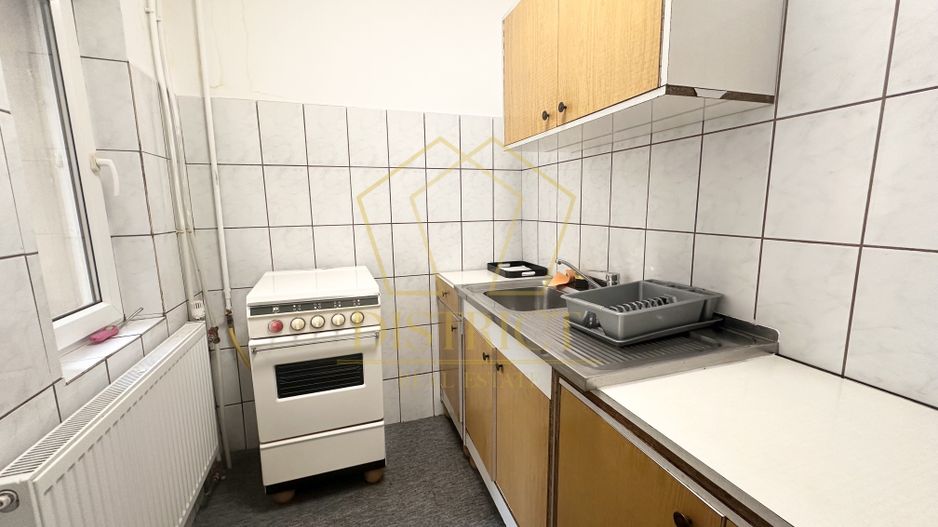 Apartament spațios cu o cameră I Sagului - Poză 8