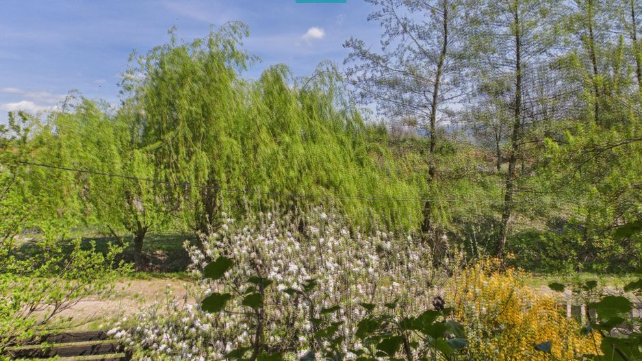 Casă Câmpani, 8000 mp teren, la poalele Apusenilor - Poză 24