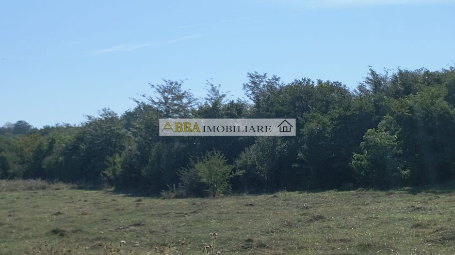 Teren intravilan investitie turism balnear fonduri europene - Poză 1