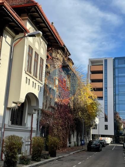 Apartament Parcul Icoanei - Poză 14