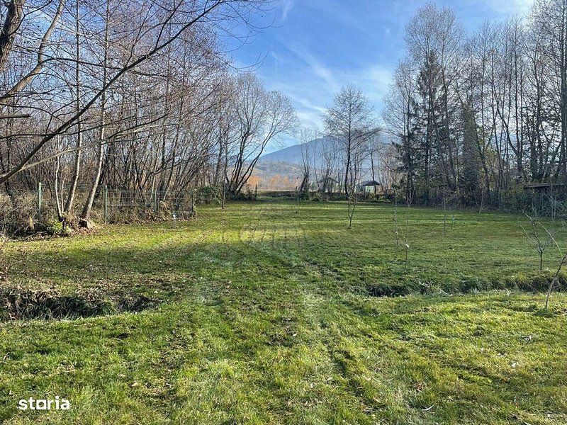 Teren 3349 mp de Vânzare | Bran – Panoramă Munții Bucegi - Poză 10