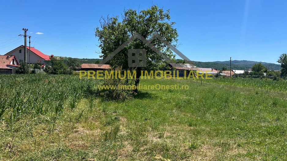 Teren intravilan de vânzare – Cașin, județul Bacău - Poză 2