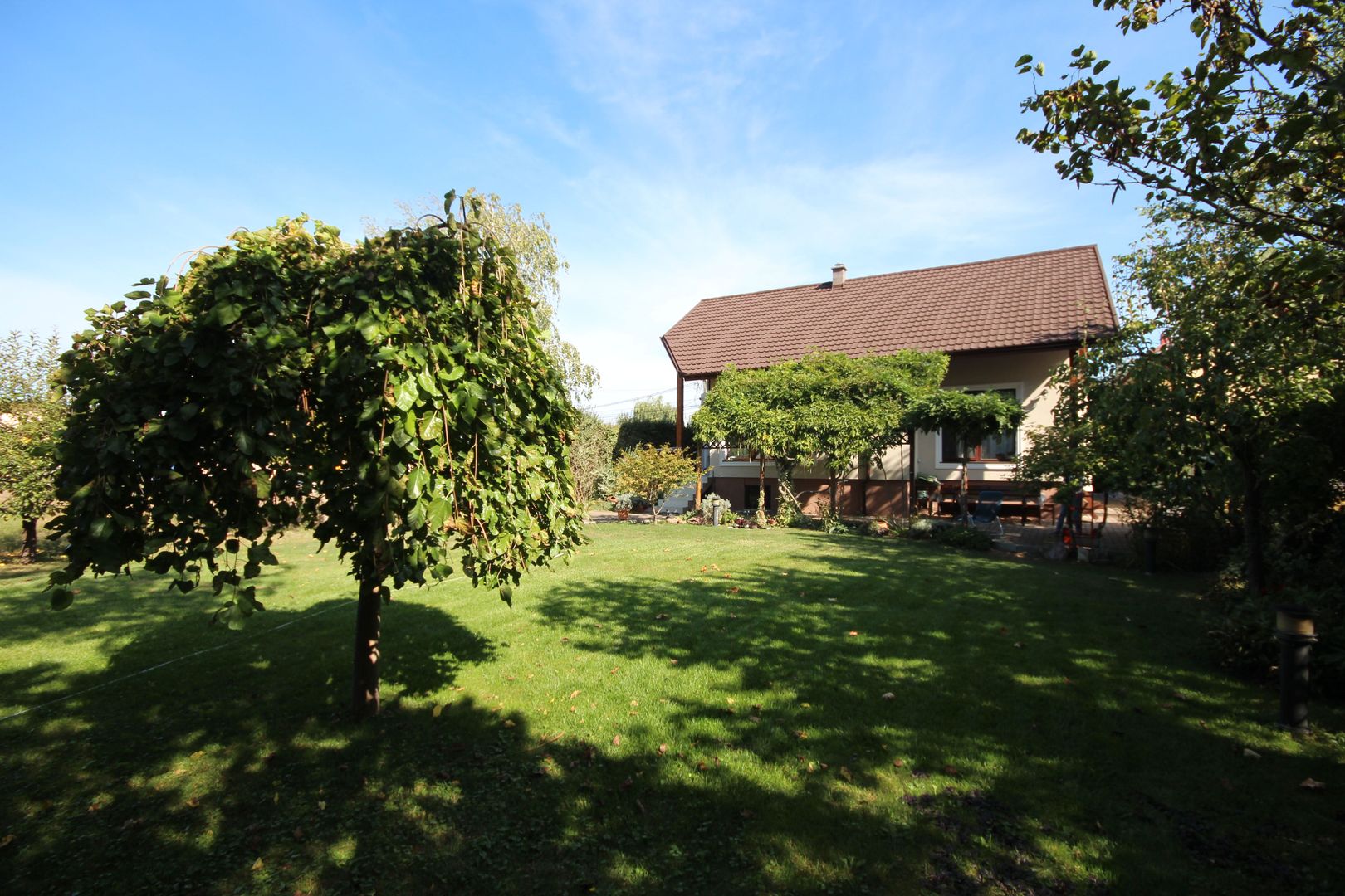 Clasica si primitoare - Poză 7