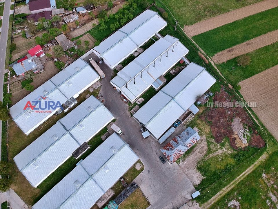 COMISION 0% - HALE Calinesti Arges - Poză 93