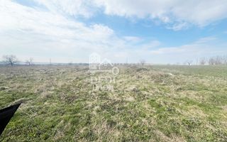 Casă cu 2 locuințe, teren intravilan 7062 mp Cetariu, Bihor - Poză 9