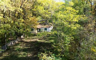 TEREN INTRAVILAN ÎN PĂDURE LA VĂRBILA - PRAHOVA – COMISION 0% - Poză 8