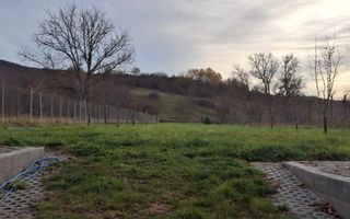 Casă complet renovată de vânzare în Amnaș – la doar 25 km de Sibiu! - Poză 11