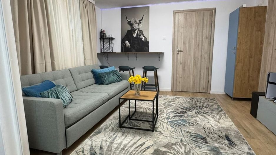 Apartament confortabil cu doua camere, Cismigiu- Casa Radio - Poză 3