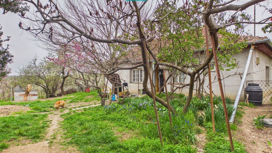 Ieftin - Casă cu teren 842mp, zona Dealuri, Oradea - Poză 4