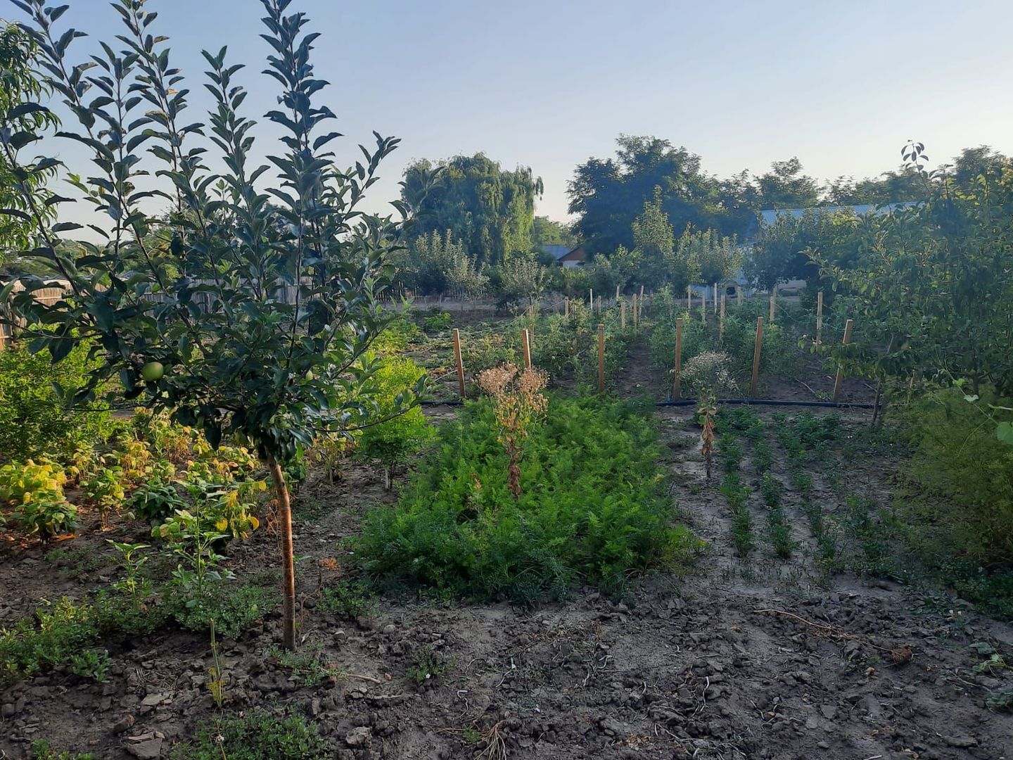 Casa Parter+Pod 90 mp+anexa 60 mp + atelier + teren intravilan 1600 mp - Poză 38