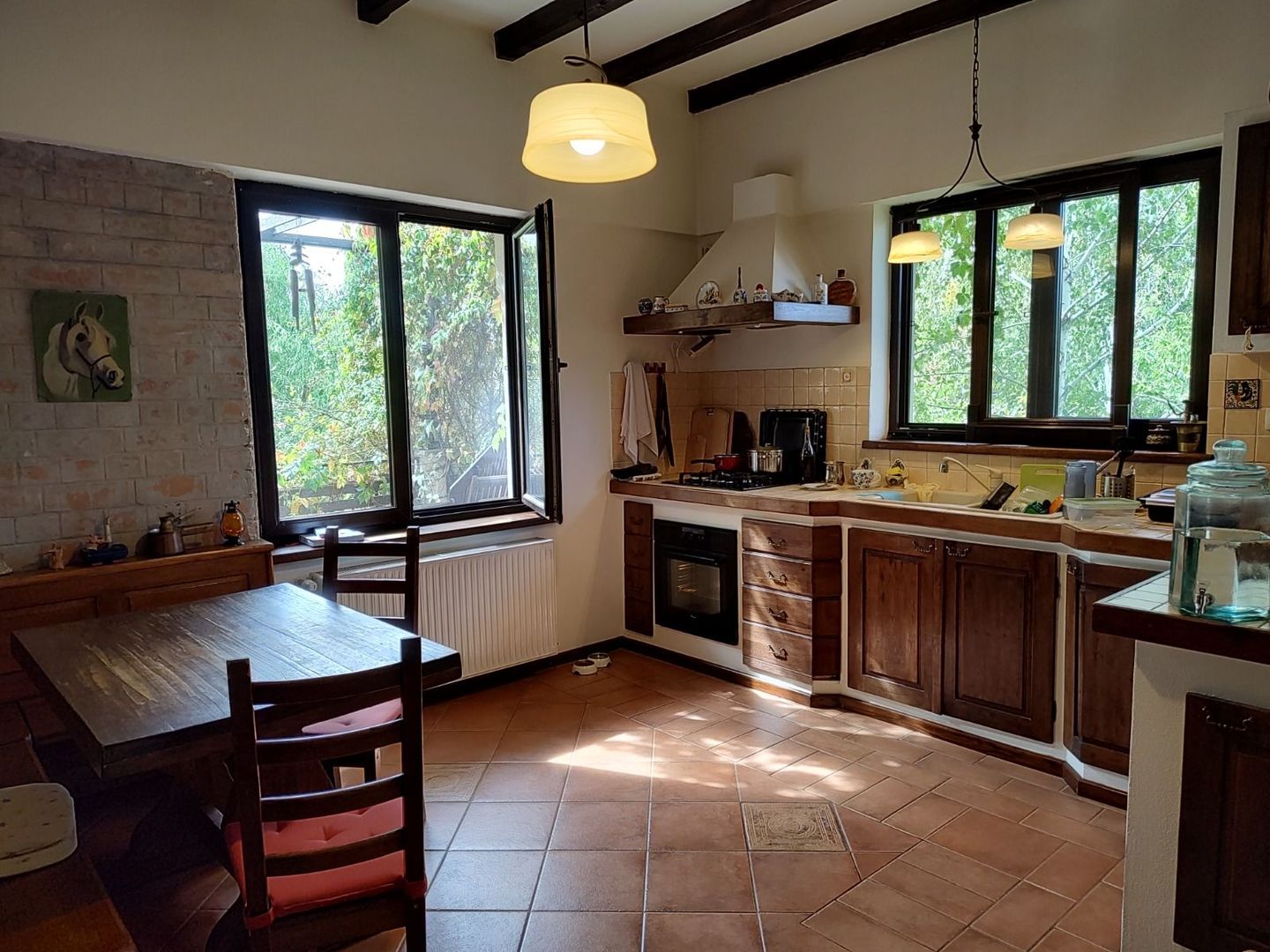 Vila mediteraneană cu farmec neo-românesc, în liniștea eleganta din Iancu Nicola - Poză 7