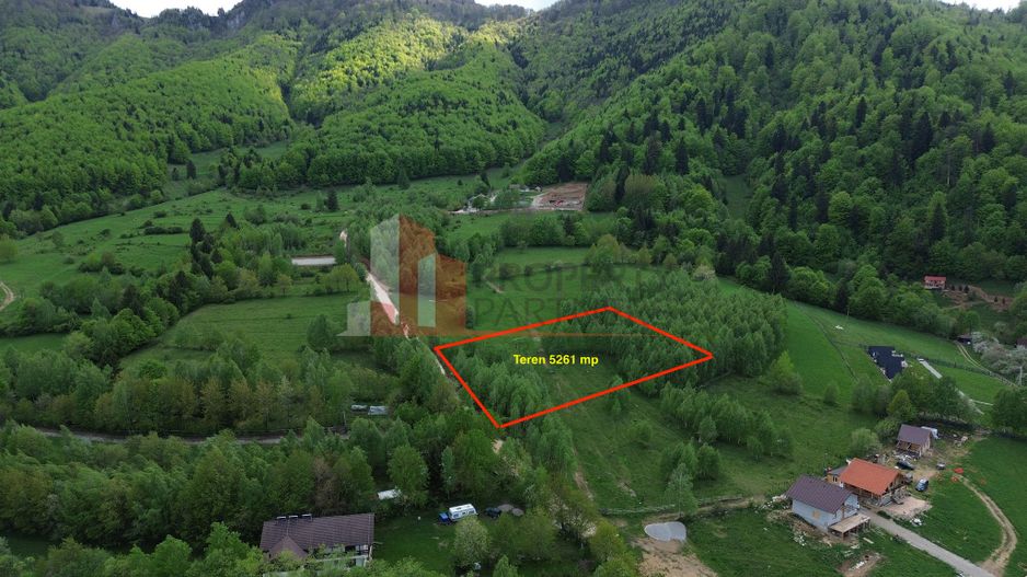 Teren intravilan 5.261 mp Tohănița | Deschidere 49 m | Utilități, lângă pădure - Poză 1