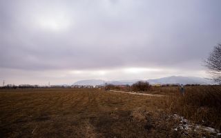 10.000 mp de teren intravilan, Brasov - Poză 7