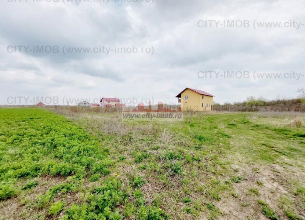 Teren de vanzare Cocani, Crevedia, langa padure Dambovita - 17 km de Bucuresti - Poză 12