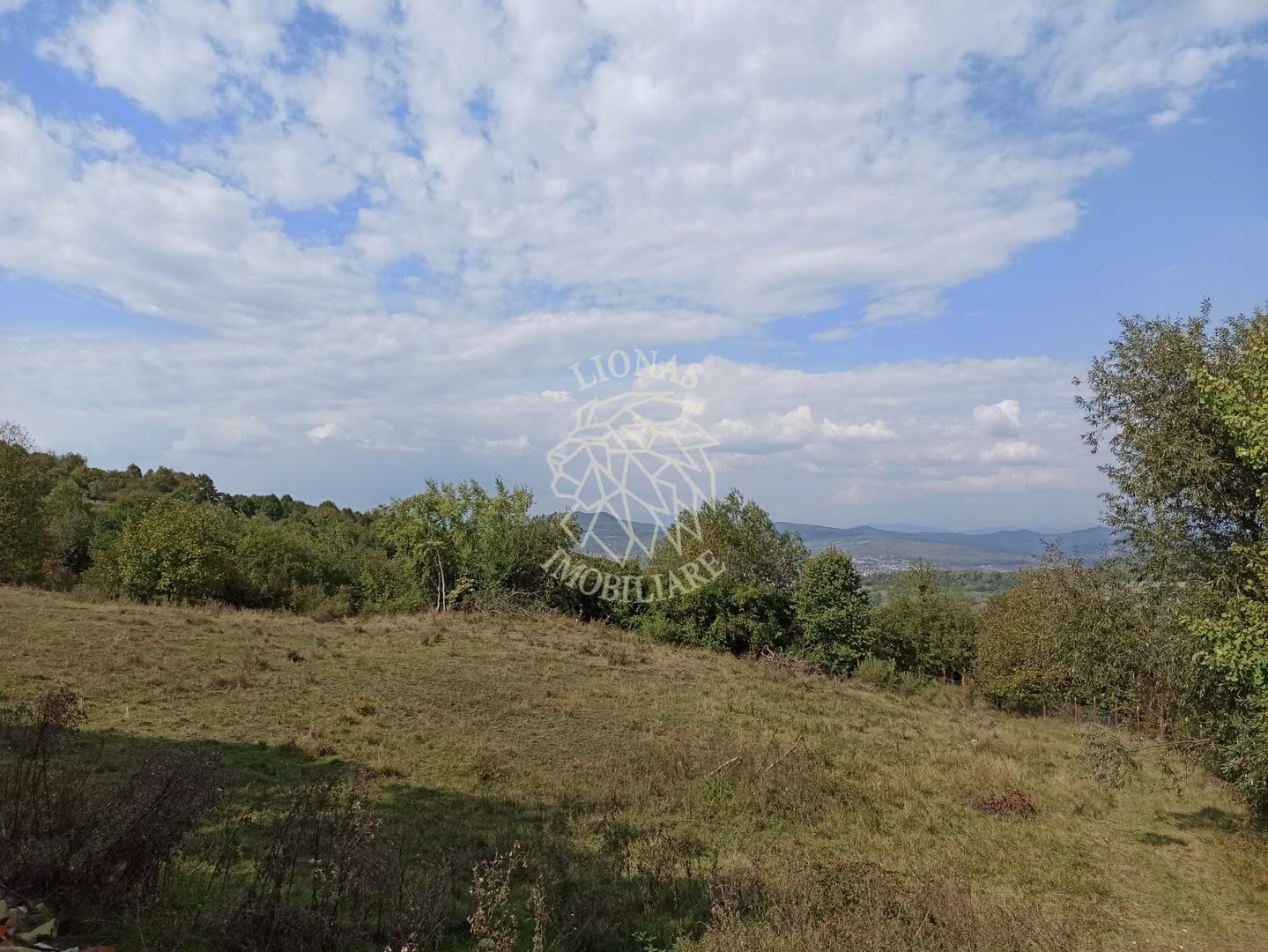 Teren  42,200 mp (4,22 hectare)-Parcelabil-investitie-Valea Jelnei - Poză 4