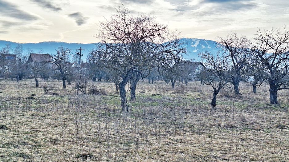 Teren intravilan pentru Investitie!!!,933mp in Ghimbav, 50 euro/mp neg. - Poză 14
