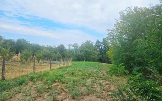 🏞️ Teren intravilan, cu priveliște – Vălenii de Munte - Poză 17