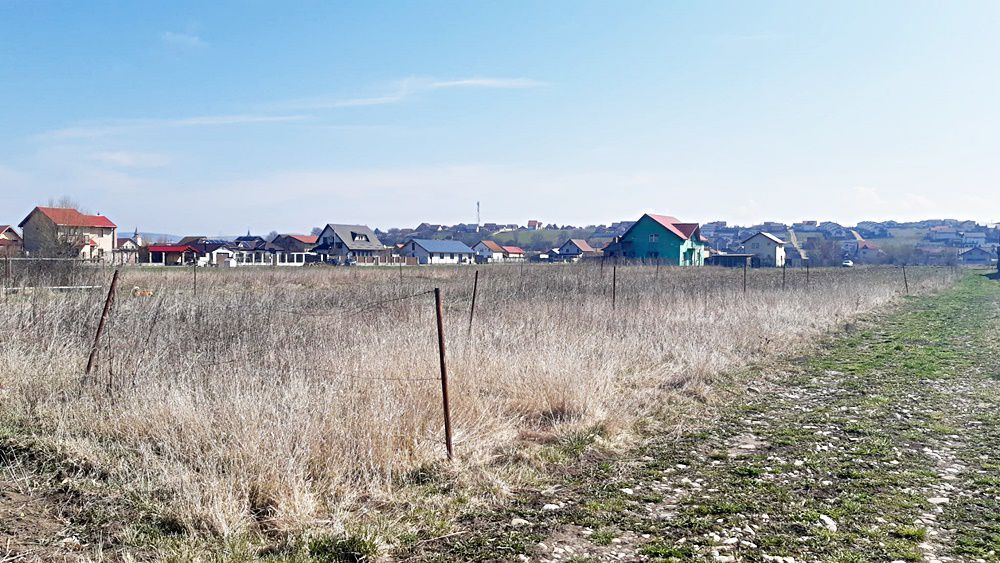 Bod, teren intravilan 700mp, pret 20 euro/mp - Poză 4