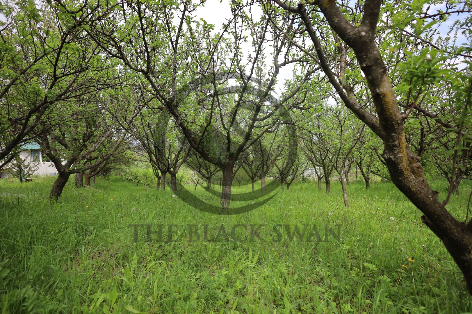 Casa 4 camere de vanzare | 1311 mp | Varfurile, Prahova | Comision 0% - Poză 20