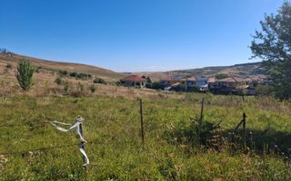Teren de vanzare in zona Borhanci - Colonia Sopor - Poză 1