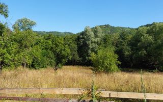 TEREN INTRAVILAN ZĂVOI\ZONA VALEA BISTREI, JUD.C-S - Poză 4