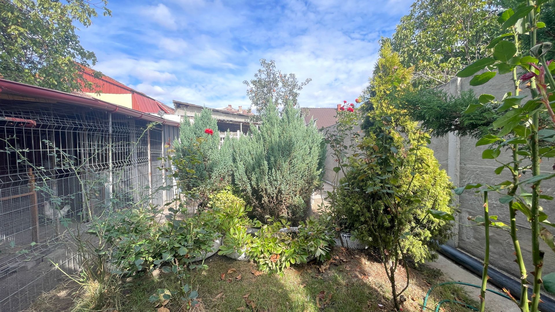 Casa de vanzare zona Bogdanesti - Poză 4