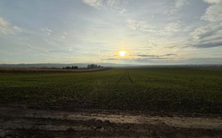 TEREN EXTRAVILAN | E85 | 126.000EURO NEGOCIABIL | - Poză 1