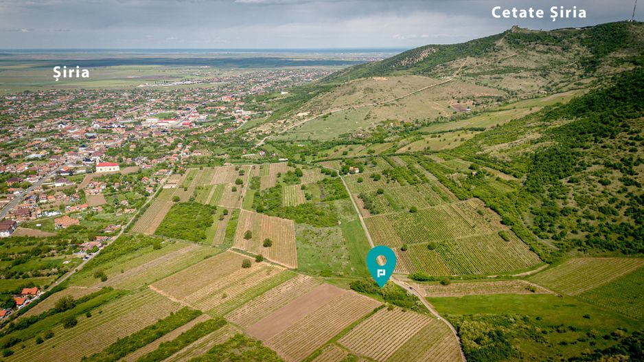 Teren extravilan - 3654 mp Dealul Șiriei - Poză 1