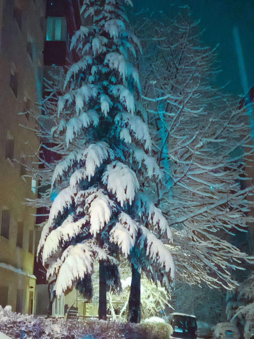 Imobil pretabil locuință permanentă, de vacanță sau spațiu birouri, Comision 0% - Poză 22