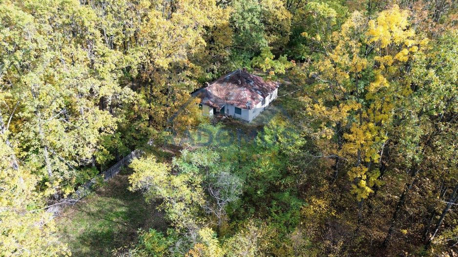 TEREN INTRAVILAN ÎN PĂDURE LA VĂRBILA - PRAHOVA – COMISION 0% - Poză 2