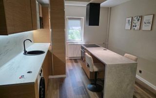 Apartament 2 Camere Lux Aviatiei Herastrau - Poză 7