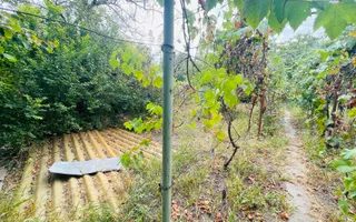 Casa spatioasa cu teren 739 mp in zona Mehala - Poză 12