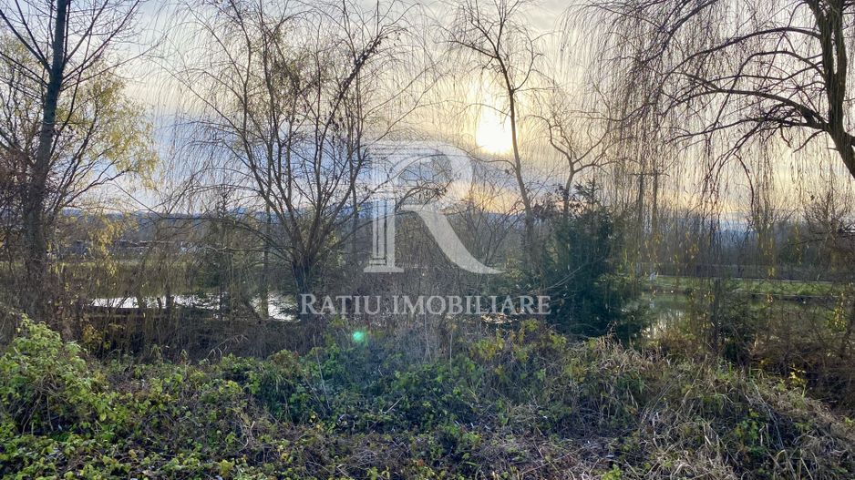 EXCLUSIV | TEREN INTRAVILAN | INVESTIȚIE | BEIUȘ – STR. PLOPILOR | 13.500 MP - Poză 2