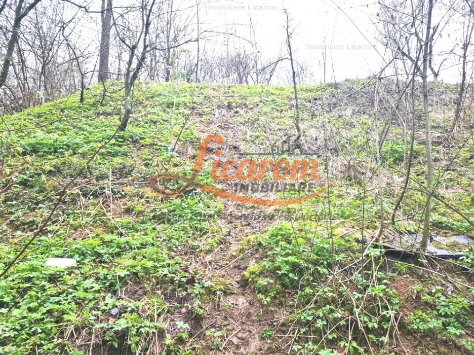 Teren intravilan1291 mp Schei Str Nisipului iesire la Drumul Poienii - Poză 3
