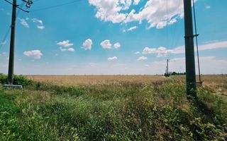 Teren intravilan 7766 mp | Zona Paralela 45 | Deschidere la DN1 - Poză 3