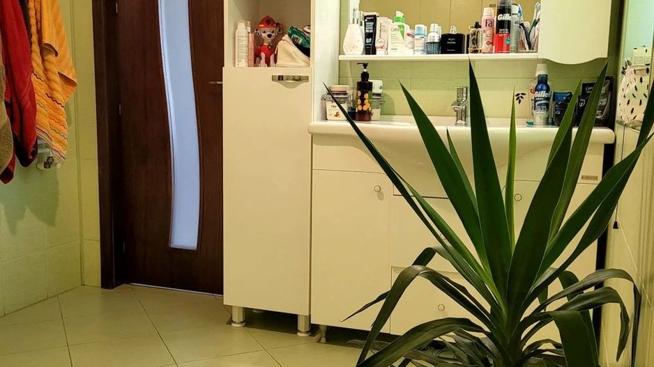 De vanzare vila, teren 500mp, Magurele - Poză 7