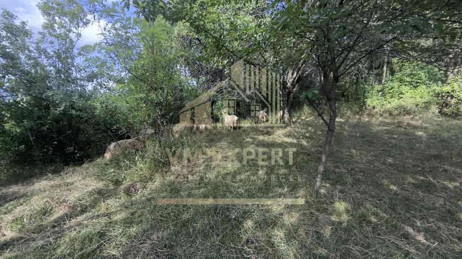 CASA 3 CAMERE TEREN 7770 MP BOTENI ARGEȘ - Poză 26
