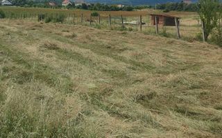 Teren 1250 mp I Intravilan I Zona Cisnadie - Poză 1