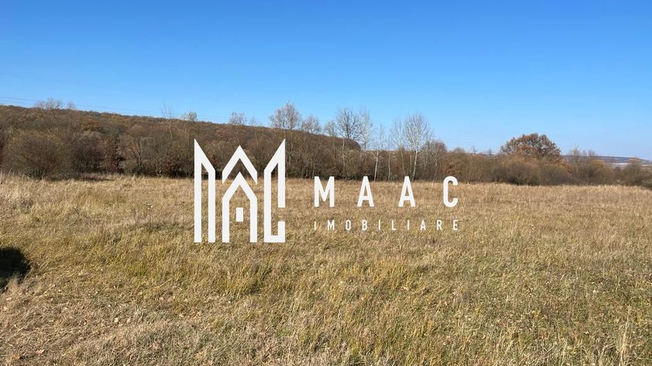 Teren industrial | servicii Selimbar DN | 2934mp - Poză 1