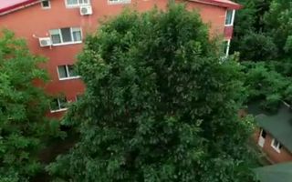 Duplex. 4 camere. Lux  Metrou Aparatorii Patriei. - Poză 5