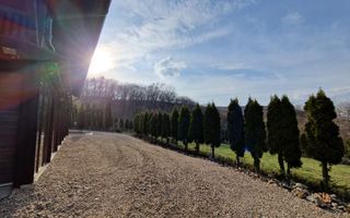 Casa din lemn D+P+M de 400 mp utili si teren 3.000 mp zona Faget - Poză 29