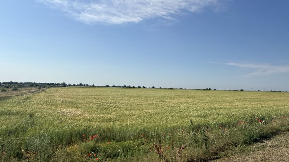 Teren 10 hectare pretabil pt panouri solare-Aricesti Rahtivani - Poză 9